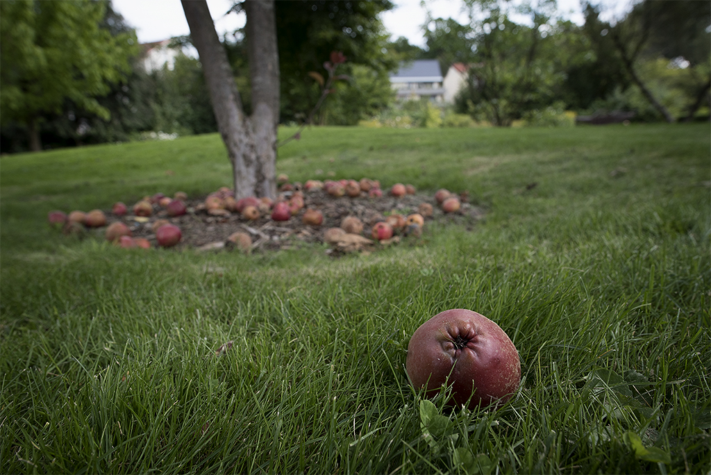 Schleswig Holstein Ostsee 09_2015 KA7_3893 als Smartobjekt-1 Kopie.jpg